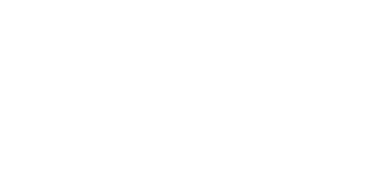 logo pieter blonk